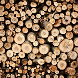 Купить березовые колотые дрова